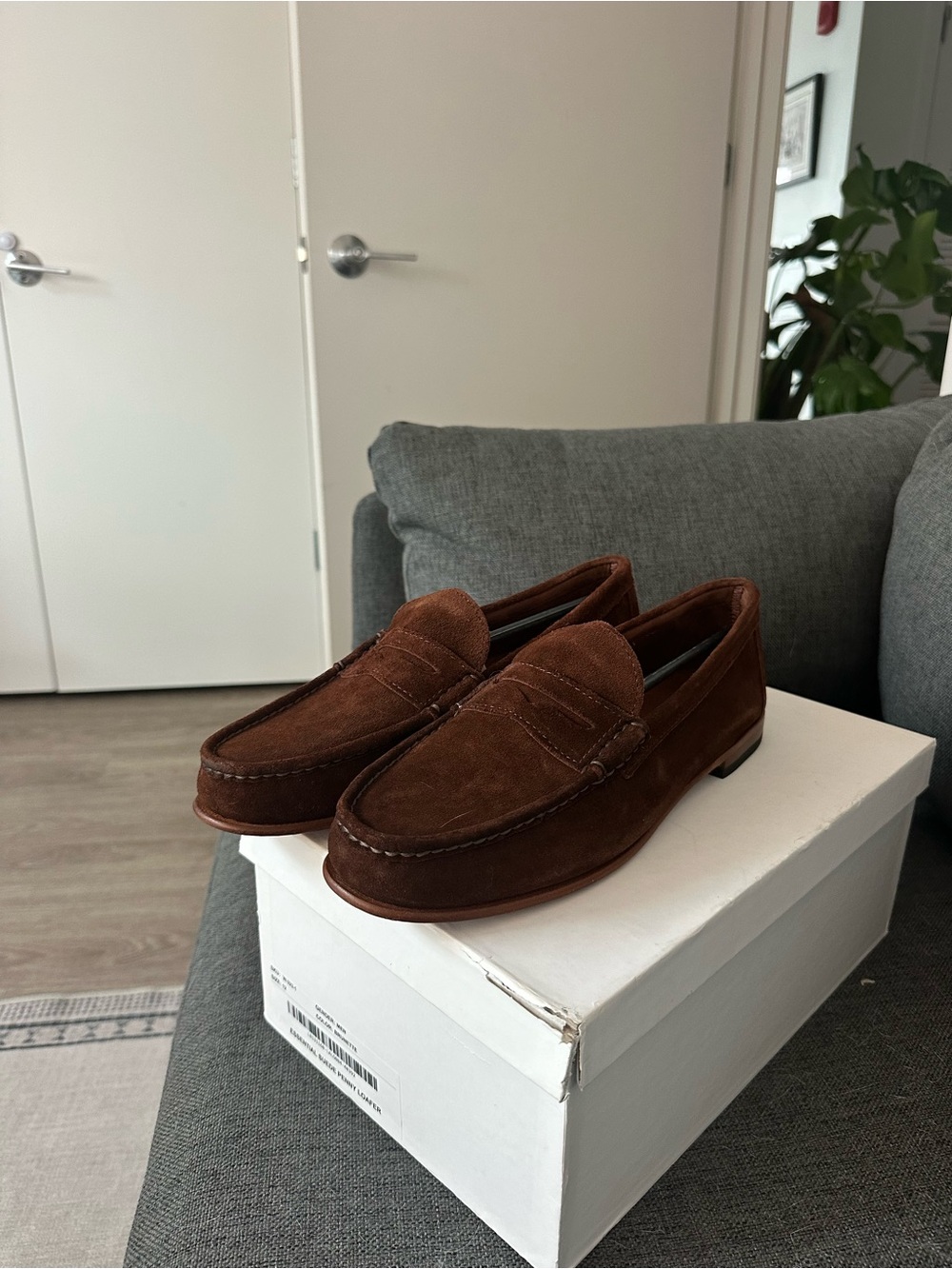 NWT Brown Suede Loafers Quince